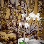 Appartement Cdz - Poniente